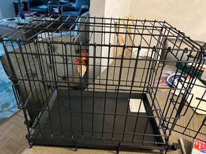 Aspen Pet Wire Home Training Dog Kennel, 18" L x 12"W x 13" H